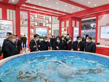 图片alt名称